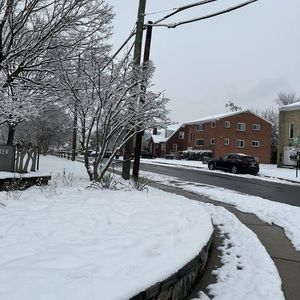 Meet your Posher, Elvis